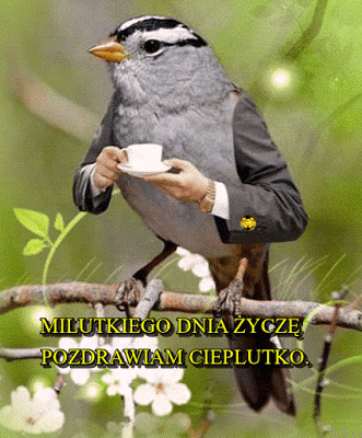Ptaszek pozdrawia cieplutko miłego dnia życzy